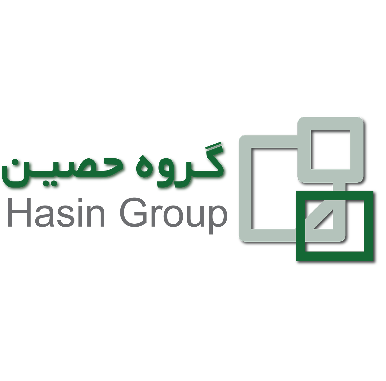 Hasin Group